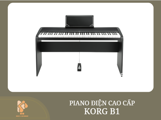 KORG B1