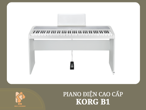 KORG B1