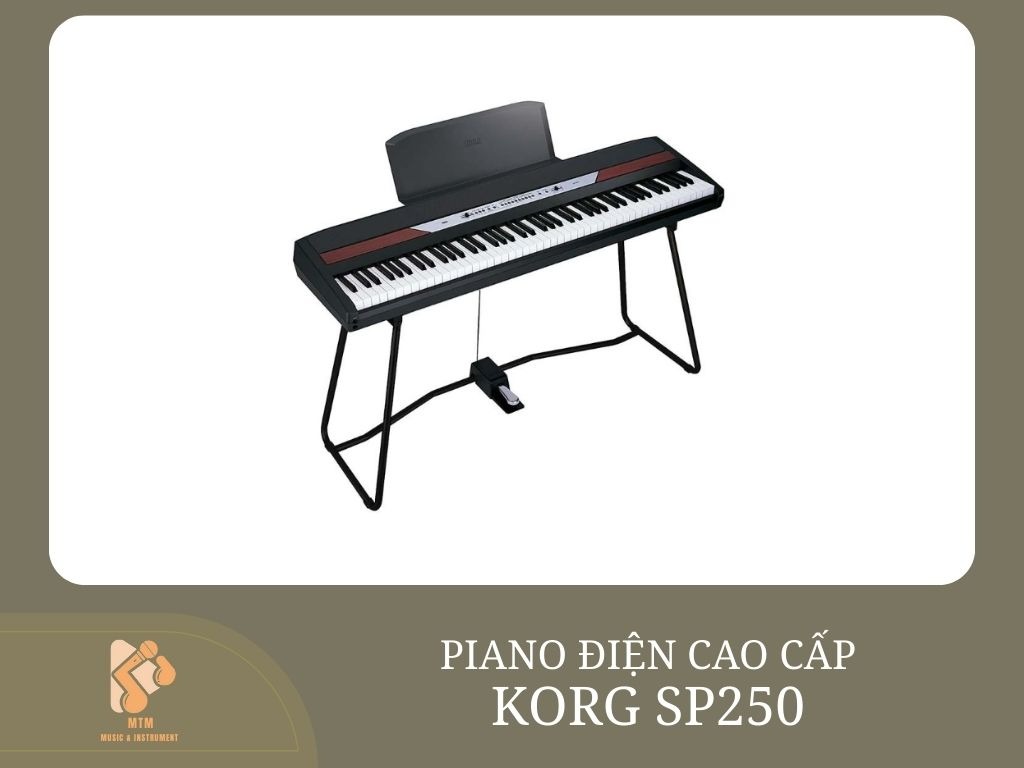 KORG SP250