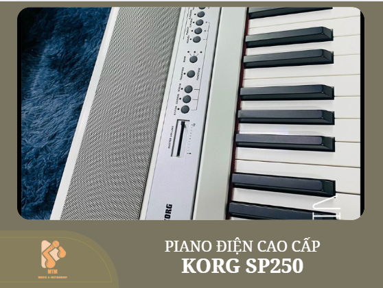 KORG SP250
