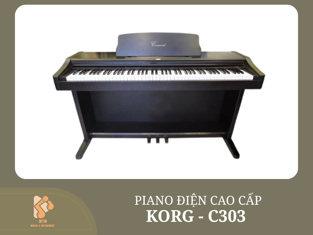 KORG - C303 ( LIKE NEW )